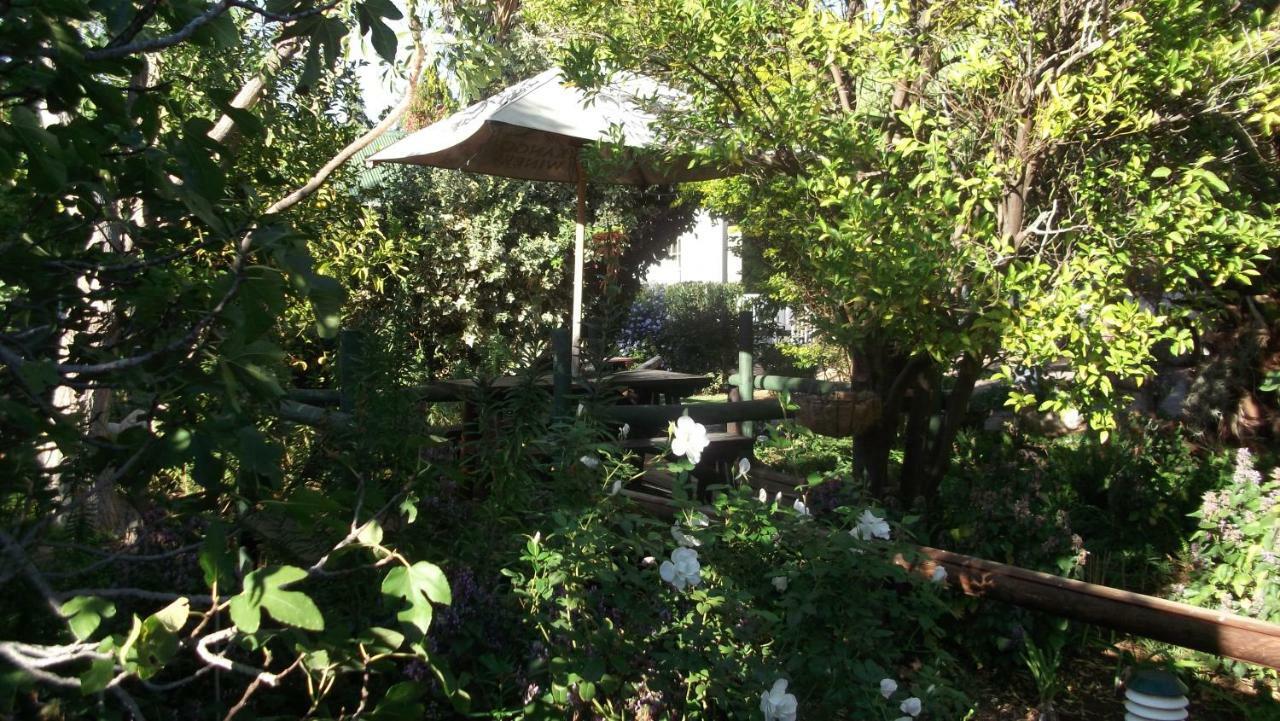 Housemartin Lodge & Self Catering De Rust ภายนอก รูปภาพ